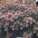 별밤농장 이미지