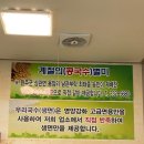 전주 효자동 국수맛집 우리국수 잘하는집 방문후기