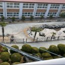 여양고등학교 이미지