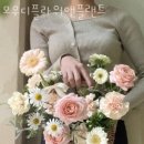 화환앤플라워