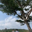 카페고 낙동강의성휴게소