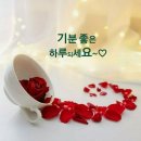 모심 이미지