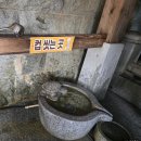 [충남 사찰 순례] 부여 가볼만한 절 고란사/부소산성, 백화정, 낙화암, 백마강 유람선 이용정보