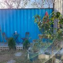 이나하우스 이미지