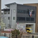 경희대 KTIGERS 태권도 이미지