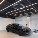 바보기계 | 테슬라 내돈내산 후기 (신차 검수+틴팅+전체 PPF 가격)