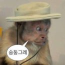 원은영뷰티#