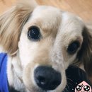 KT 사거리 이미지