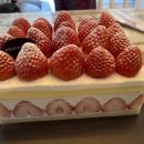 델리카한스 이미지