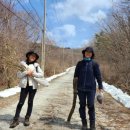 용문산 둥지 이미지