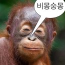 개편한세상 이미지