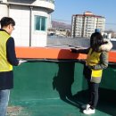 함양토종약초시장 이미지