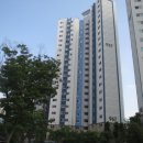 반송조은약국 이미지