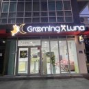 그루밍루나 이미지