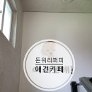 돈워리퍼피 이미지