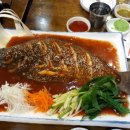 시크헤어 이미지