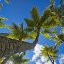 하와이에너지 | 배번호 받으러 고고, 하와이 호놀룰루 마라톤 엑스포 후기