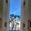 제주스타공인중개사사무소 이미지