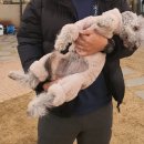 카페 MIMINKO 이미지