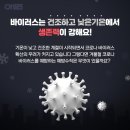 신하체육관 네이버블로그