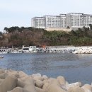 외옹치항 활어판매장 이미지