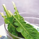 박동복 이미지