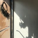 프루페