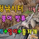 마정낚시터 토종붕어,메기 ,잉어 방류 - 11월 22일 - 이미지