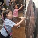 고강선사유적체험관 이미지