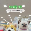 아침동물약국 이미지