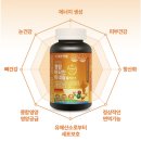 한결약품 | “피로가 한결 가벼워진 느낌! 일양약품 프라임 종합비타민 180정 솔직 후기✨”