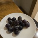 조가바지락칼국수 이미지
