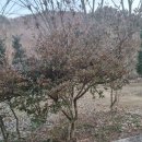 느티나무농장 이미지