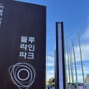 중동 스카이모텔 부근 (양측) | [열차/해운대] &#39;블루라인파크&#39; 해변열차 현장예매! 코스추천! | (1탄) 해변열차