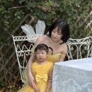 아이린 | 돌끝맘♥️둘째 돌잔치 후기 셀프준비아이린의정원 소규모 돌잔치 장소대여 후기