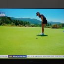 파인 힐링 이미지