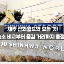 디 아넥스 휴양콘도미니엄 | 제주 신화월드의 모든 것! :: 숙소 비교부터 즐길 거리까지 총정리 / 리조트, 위치, 정보, 아울렛...