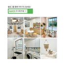 온니애견미용 이미지