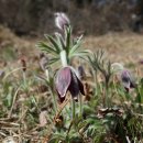 태안여자고등학교 이미지