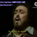 [Video]도니제티 오페라 &#34;사랑의 묘약 &#34;중 ＜남몰래 흐르는 눈물＞ ㅡ Luciano Pavarotti ㅡ 이미지