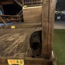 대천통나무리조트 이미지