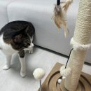 (주)노리틀 네이버블로그