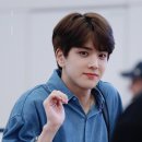 담빵 이미지