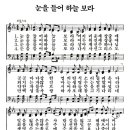 하늘보라2 이미지