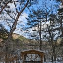 망경대산자연휴양림 이미지