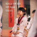 국가대표효자효녀태권도장 이미지