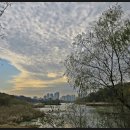 신대호수 이미지