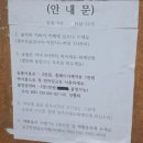 영월힐링숲펜션 | 왕과사는남자의 여운 : 영월 수월산방펜션 _ 산속정원에서 힐링