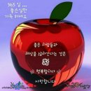 동가룰가든 이미지