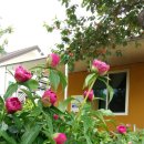 새뜸농장 이미지